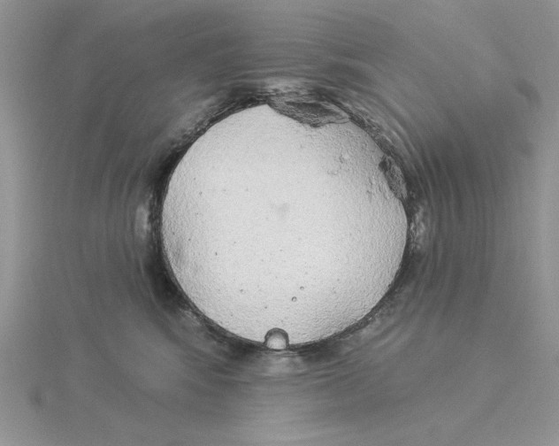 X0000114550424200911161422