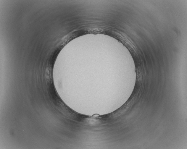 X0000114550425200911161422