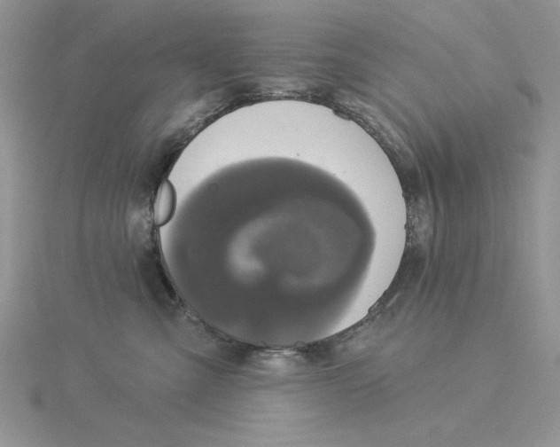 X0000114550427200911161422