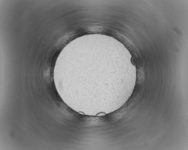 X0000114550428200911161422