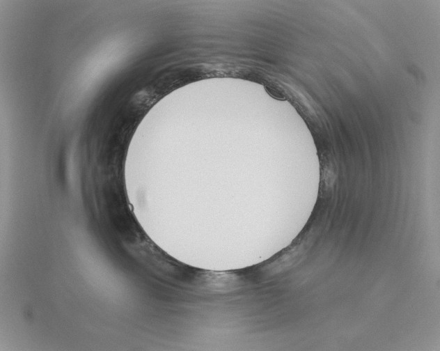 X0000114550429200911161422