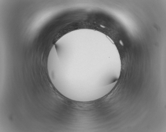 X0000114550431200911161422