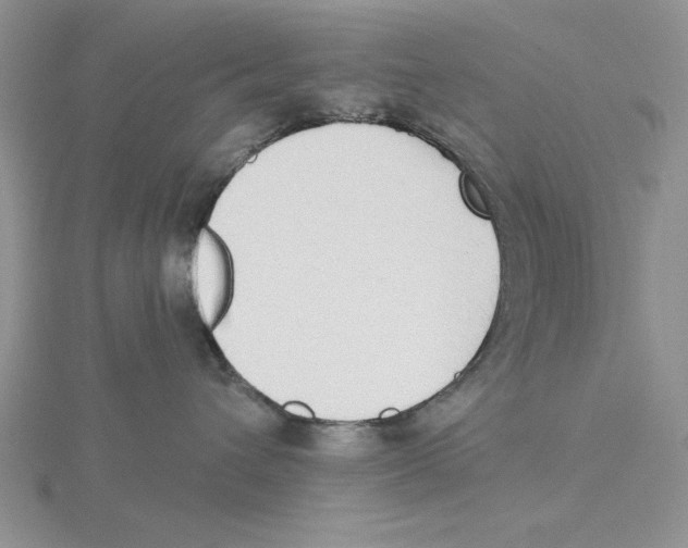 X0000114550432200911161422