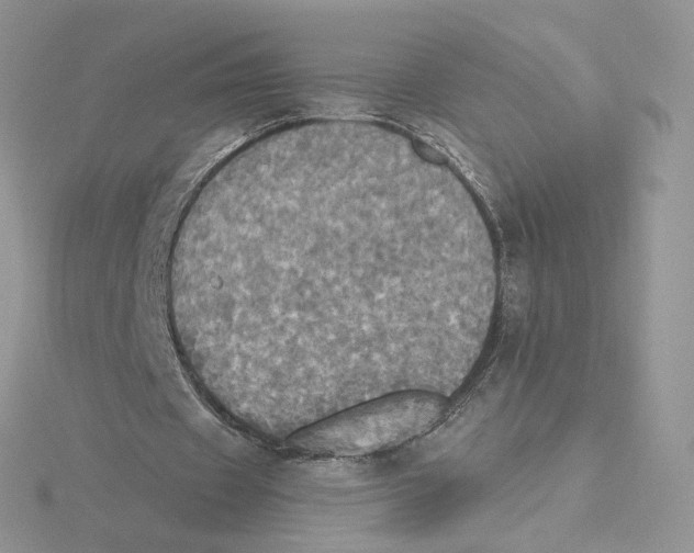 X0000114550433200911161422