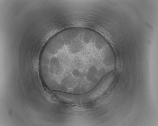 X0000114550434200911161422