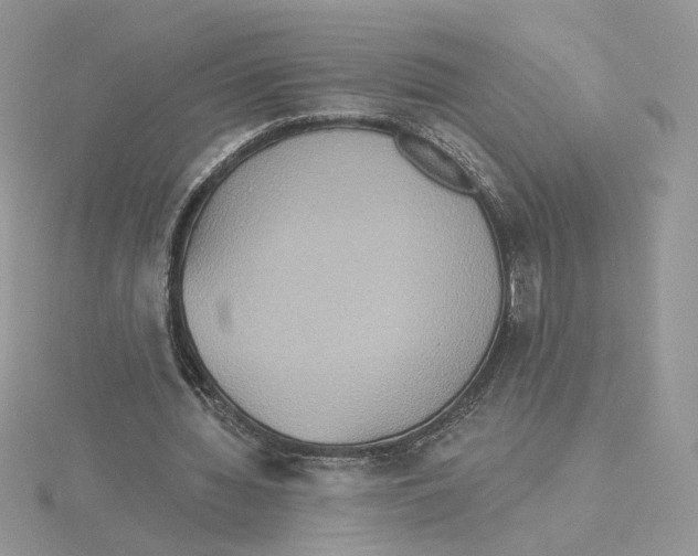 X0000114550436200911161422