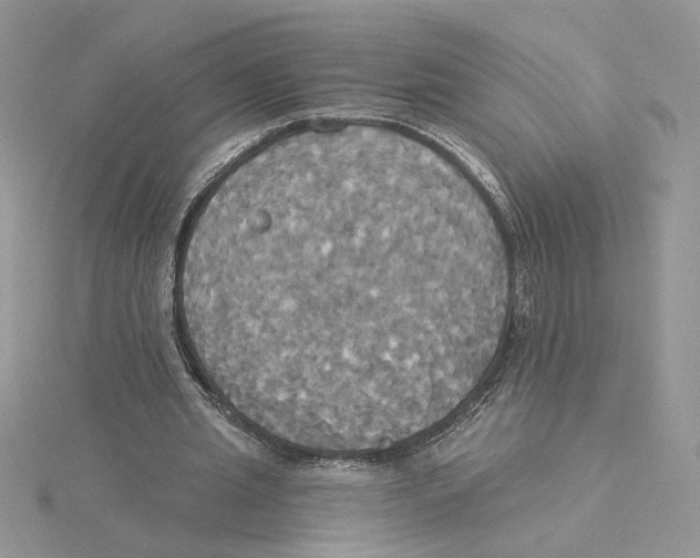 X0000114550437200911161422