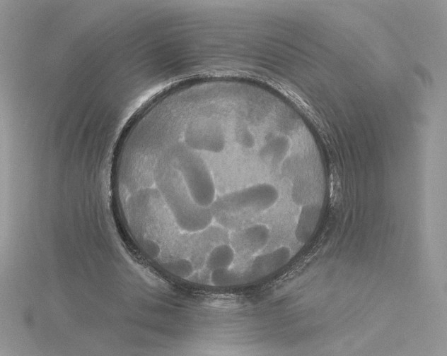 X0000114550438200911161422