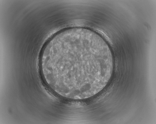 X0000114550439200911161422