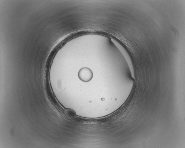 X0000114550440200911161422