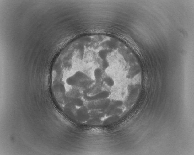 X0000114550441200911161422