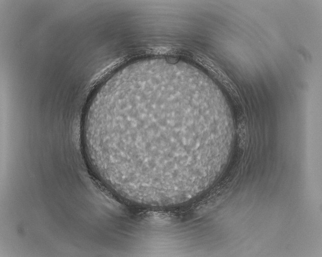 X0000114550442200911161422