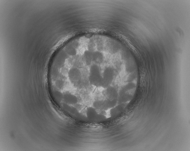 X0000114550443200911161422