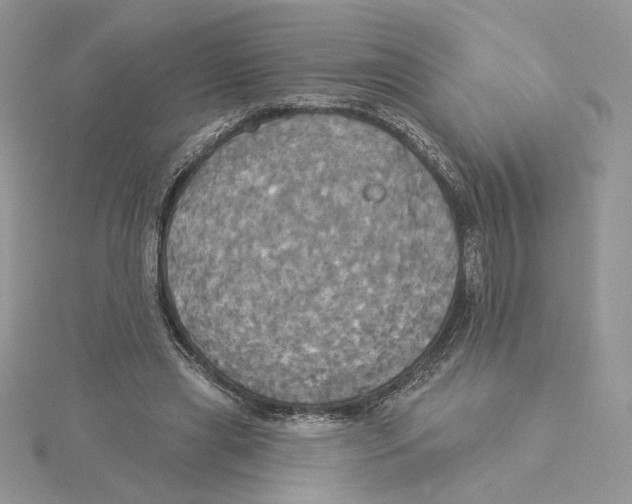 X0000114550445200911161422