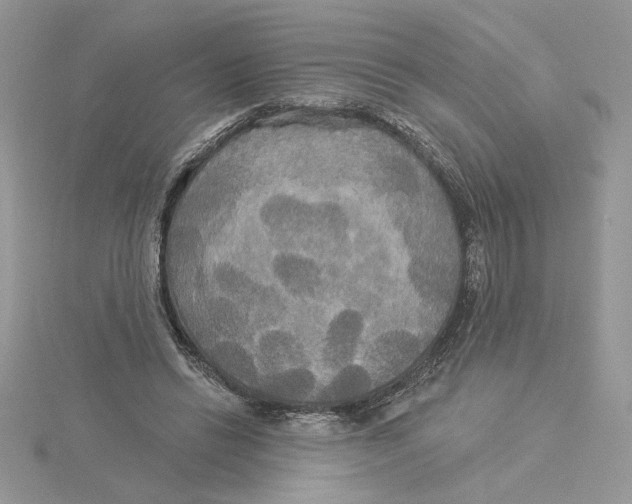 X0000114550446200911161422