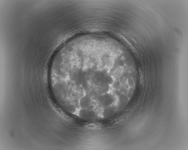 X0000114550447200911161422