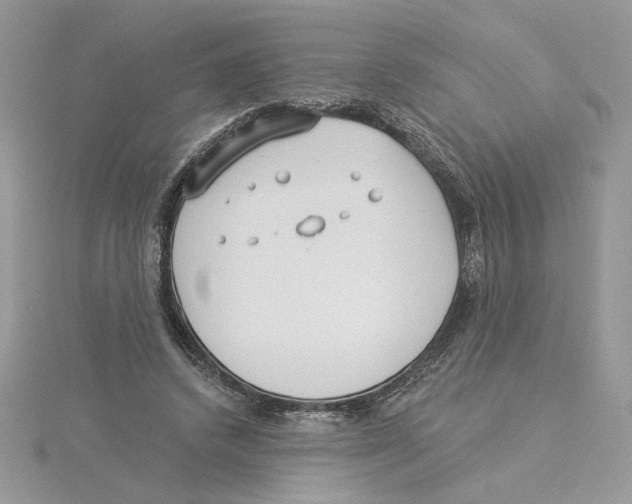 X0000114550448200911161422