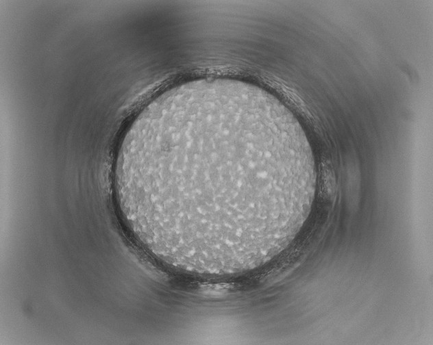 X0000114550450200911161422
