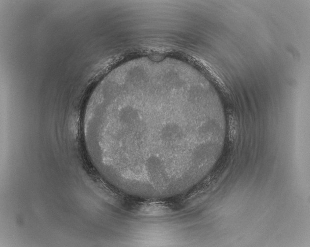 X0000114550451200911161422