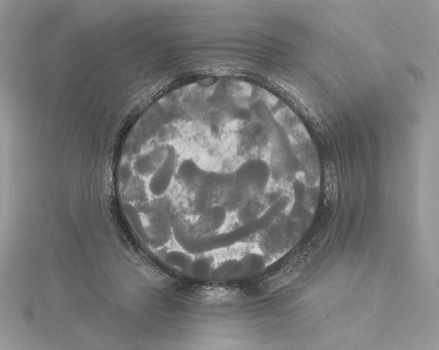 X0000114550453200911161422