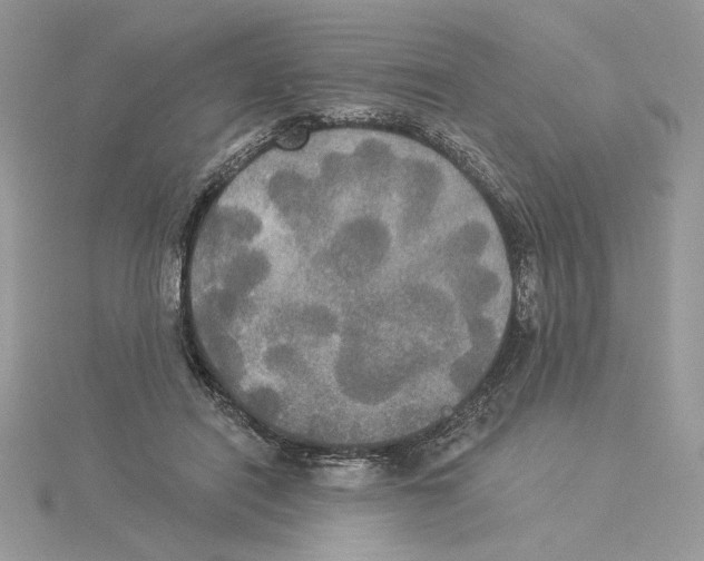 X0000114550454200911161422