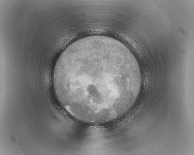 X0000114550455200911161422