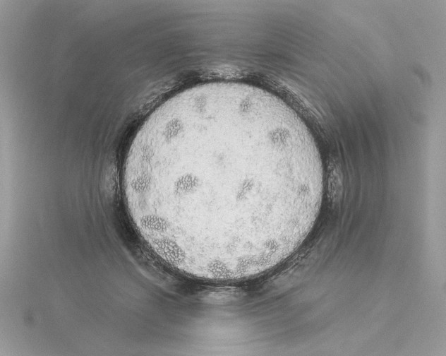 X0000114550459200911161422