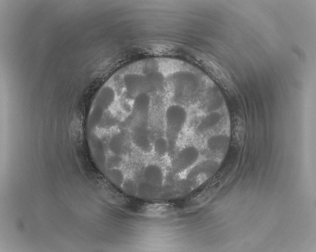 X0000114550461200911161422