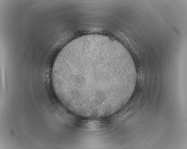 X0000114550462200911161422