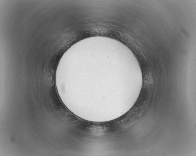 X0000114550464200911161422