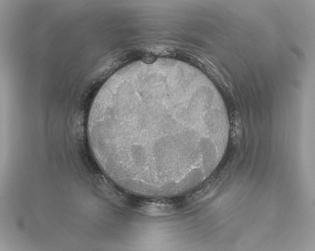 X0000114550466200911161422