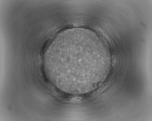 X0000114550471200911161422