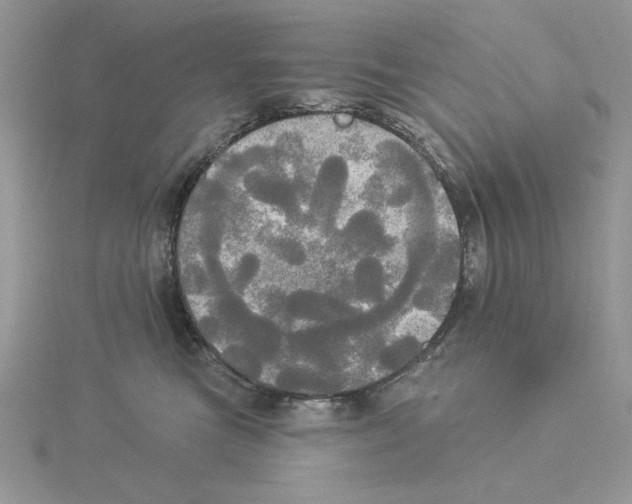 X0000114550473200911161422