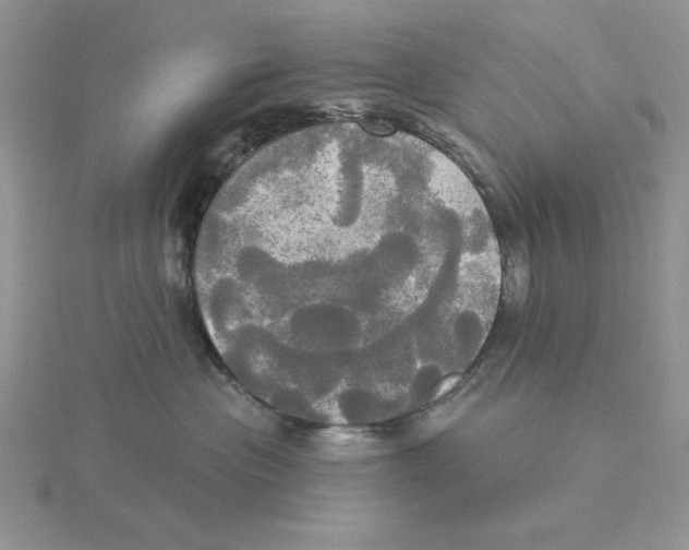 X0000114550477200911161422