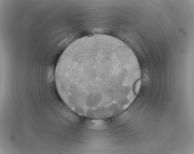 X0000114550478200911161422