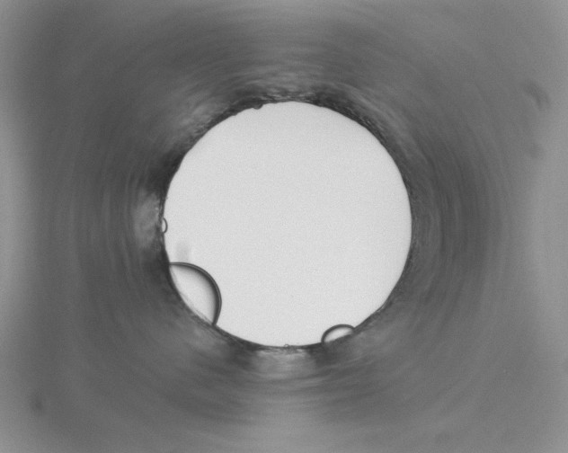 X0000114550480200911161422