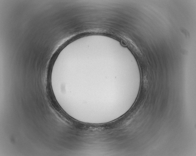 X0000114550484200911161421