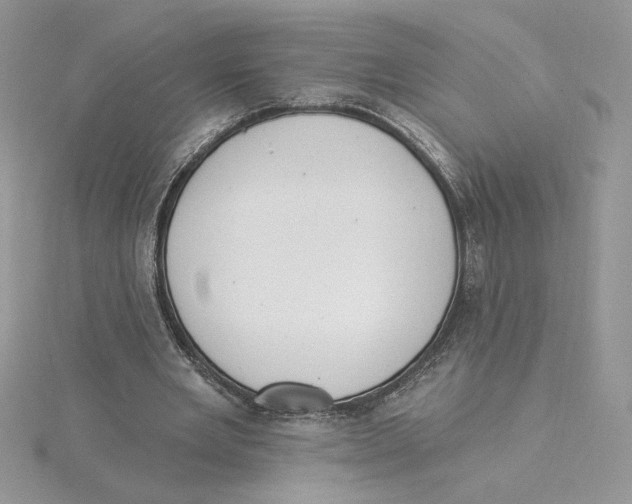 X0000114550485200911161421