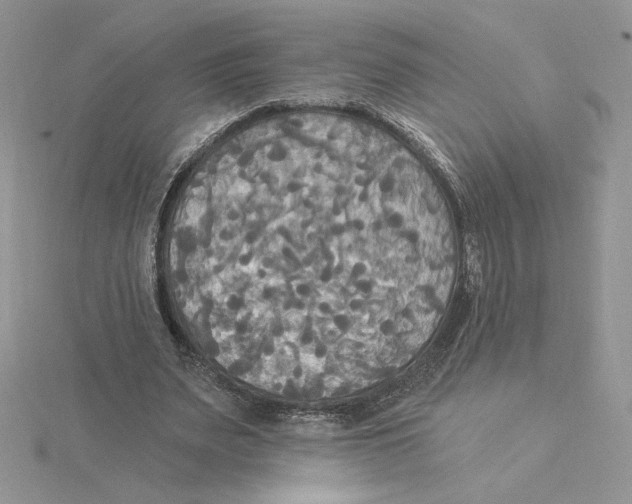 X0000114550487200911161421