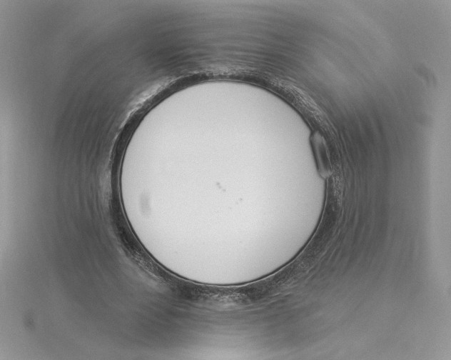 X0000114550488200911161421