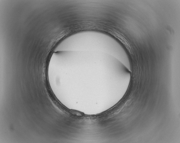 X0000114550489200911161421