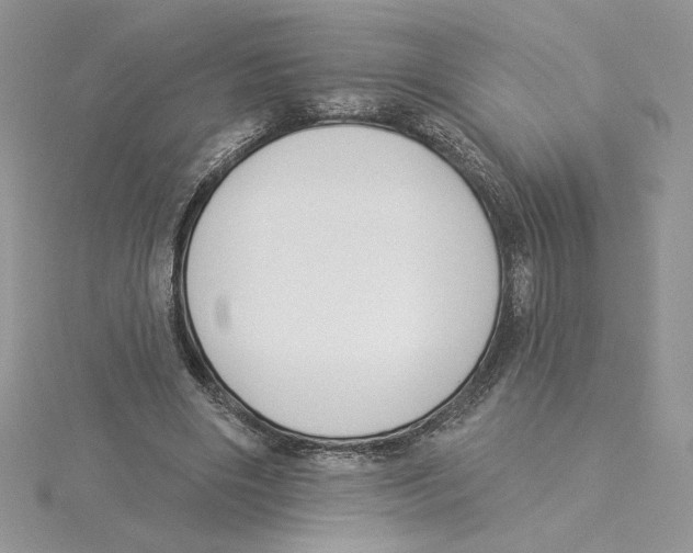 X0000114550490200911161421