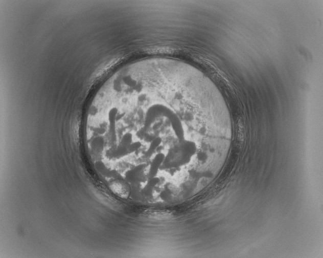 X0000114550491200911161421