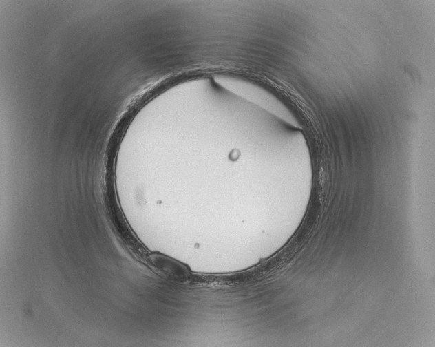 X0000114550492200911161421