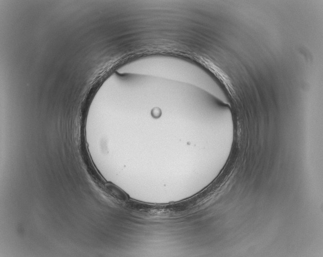 X0000114550493200911161421