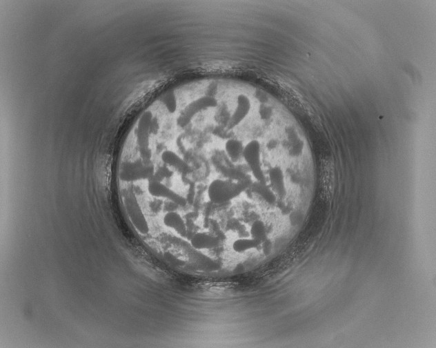 X0000114550495200911161421