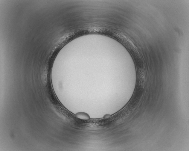 X0000114550496200911161421