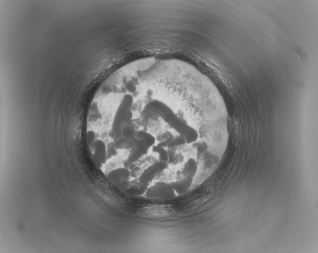 X0000114550499200911161421