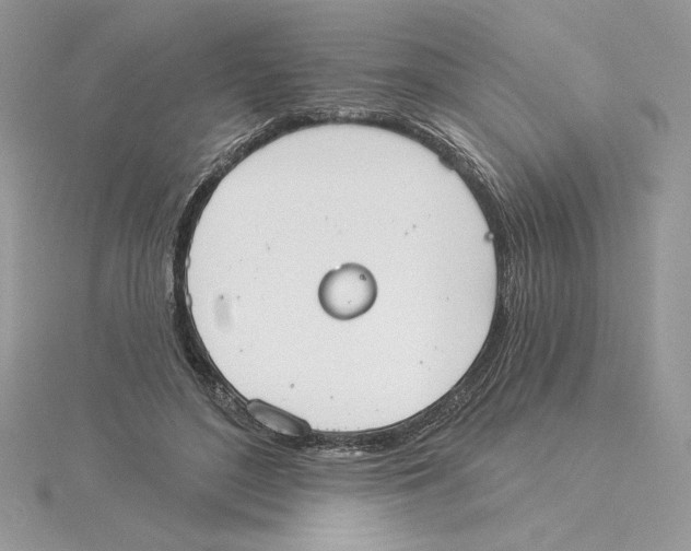 X0000114550500200911161421