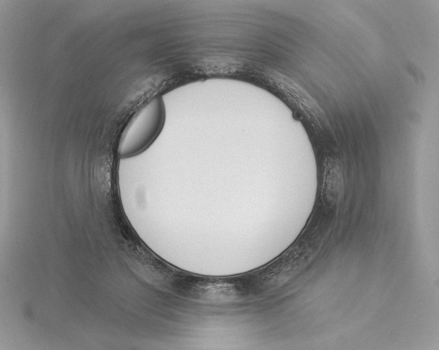 X0000114550501200911161421